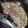El cooksnap de paola cuando hizo Tortilla de Arvejas (fácil y económica).