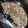 El cooksnap de paola cuando hizo Tortilla de Arvejas (fácil y económica).