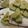 狼と桜's cooksnap of when they made Japanese Style Matcha Cookies.