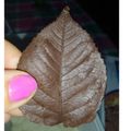 El cooksnap de Yanina Alfonso cuando hizo Técnica para hacer hojas de chocolate 🇺🇾.