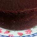 Cooksnap dari Patricia Cicilia Salampessy untuk resep Brownis kukus coklat tanpa dcc simpel banget