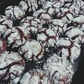 Mrs.Hilly's cooksnap of when they made easy chocolate cookies.