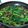 jonna.se3's cooksnap of when they made Chinese Broccoli With Roasted Pork.