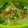 Cooksnap dari Lely untuk resep Sup Bihun Kumplit
