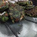 El cooksnap de Verito cuando hizo Buñuelos de espinaca y queso sin tacc.