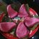 Cooksnap dari Fransiska Tini Liu untuk resep Kue Ku