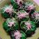 Cooksnap dari Miss Wiwit untuk resep Kue cubit pandan
