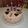 El cooksnap de Santiago Larrainzar cuando hizo Torta con Buttercream.