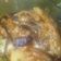 El cooksnap de Sandra Flores cuando hizo Berenjena en escabeche súper fácil.