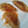 El cooksnap de Raúl Martínez cuando hizo Gyozas fáciles y económicas.