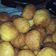 Cooksnap dari Shinta Rachman untuk resep Roti Goreng Isi Abon
