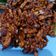 Cooksnap dari ayueka untuk resep 8. Kering Tempe Manis Daun Jeruk Wangi (Tanpa kecap) Kriuk Banget!