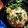pragya bharti's cooksnap of when they made MATAR CHIWDA (Roasted Flattened Rice & Spicy Pea Snack).