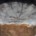 El cooksnap de Emilce Alvarenque cuando hizo Torta de chocolate licuada.