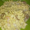 Cooksnap dari TaMie MauLidya untuk resep Setup makaroni