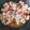 Cooksnap dari mutia yusa untuk resep Tumis Udang Pedas Manis