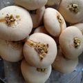 Afshan Tabassum's cooksnap of when they made Naan Khatai.