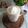 Cooksnap Rika Erviana semasa beliau membuat Coconut Shake 🥥.