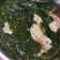 Cooksnap dari Aurelia Devina untuk resep Sup Rumput Laut (Miyeok Guk)