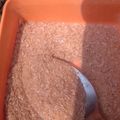Cooksnap dari Syifa Li untuk resep Kaldu Udang Bubuk