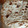 mandy's cooksnap of when they made My Homemade Flour Tortillas.