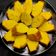 Cooksnap dari Vicky Ummu Zahra untuk resep Bolu Nangka (3 Telur)
