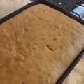 El cooksnap de Isabel Mercado cuando hizo Bizcochuelo de vainilla rectángular.
