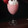 elliebellie's cooksnap of when they made Raspberry Chip Mousse.