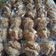Cooksnap dari Daffa_Daffa untuk resep Bolu kukus pisang merekah