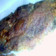 marlenemineros's cooksnap of when they made Simple breaded pork chops.