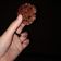 Cooksnap dari Desrina Mutiara untuk resep Oat Chocolate Cookies Teflon
