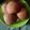 Cooksnap dari Ra 2 untuk resep UFO Bread a.k.a Mexican Bun/Roti O/Roti Boy