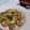 Cooksnap dari evikayrs untuk resep Tumis Pakcoy Bakso