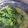 Cooksnap dari Indri Hijriyyah untuk resep Sayur kare daun singkong paha ayam