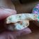 Cooksnap dari Carolina untuk resep Macaron Metode French Meringue With Takir Anyaman Pandan