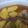 Shazia Shakir's cooksnap of when they made Mutton Aloo gosht.