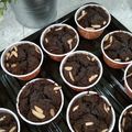 Cooksnap dari Novi Herawati untuk resep 131. Brownies Kopi
