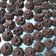 Cooksnap dari Ery Dunda untuk resep Semprit Coklat NCC