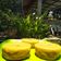Cooksnap dari Kenya Mandirengharsi untuk resep Kueh lumpur