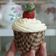 Cooksnap dari Pingkan Rizkiarto untuk resep Red Velvet Cupcake with Creamcheese Frosting