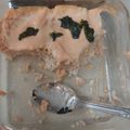 Cooksnap dari Putih Asmara untuk resep Salmon Mentai rice