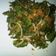Cooksnap dari Mora untuk resep Urap Minimalis
