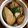 黃中華 的 韭菜花炒甜不辣 cooksnap