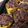 Cooksnap dari Rahasia untuk resep Muffin pisang coklat almond