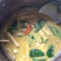 Sasi's cooksnap of when they made แกงเผ็ดหน่อไม้สดใส่หมู.