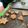 El cooksnap de Flavia sereño cuando hizo Galletas de Navidad veganas de chocolate o canela fáciles.