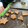 El cooksnap de Flavia sereño cuando hizo Galletas de Navidad veganas de chocolate o canela fáciles.