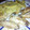 El cooksnap de Loli Mora Liebana cuando hizo Alitas de pollo al horno.