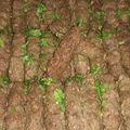 صورة من fifi.fahim، شاركها بعد تجربة وصفة تتبيلة الكباب 🍀 شيش طاووق