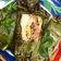 Cooksnap dari Genevieve Ineke Kwee untuk resep Nasi Bakar Tongkol